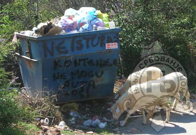 србовање: Ne isturaj kontenjer