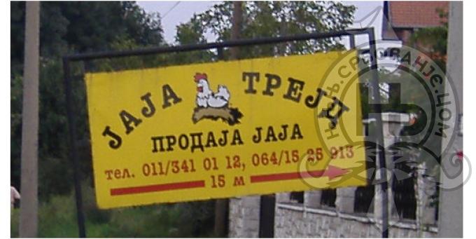 србовање: Jaja TREJD