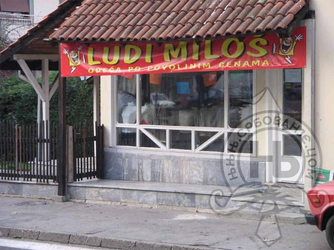 србовање: Ludi Milos