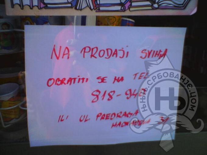 србовање: Свиња на продаји