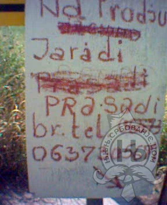 србовање: Jaradi i Prasadi