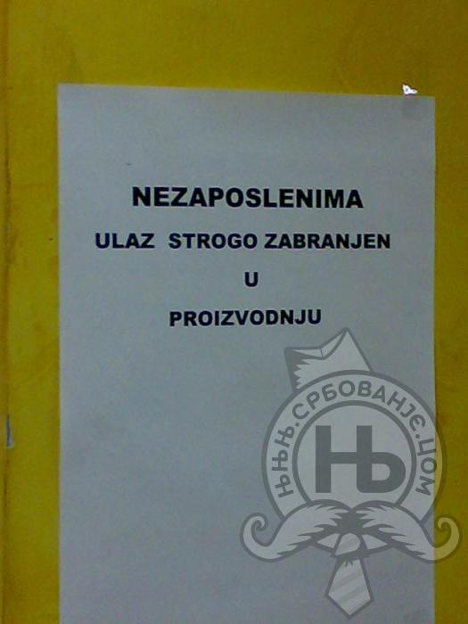 србовање: Eh, nezaposleni...